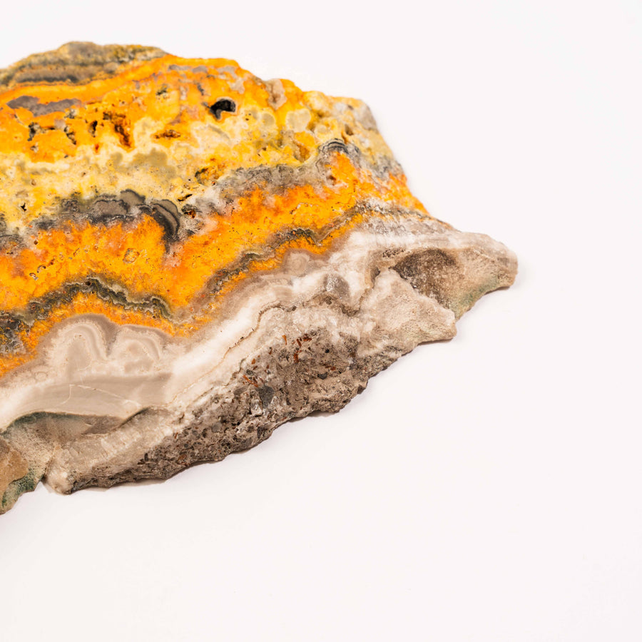 Bumble Bee Jasper - Slab, Large