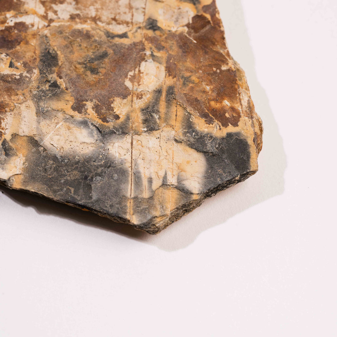 Slaty Shale Record - Earth Love Gallery Collection