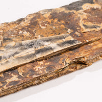 Slaty Shale Record - Earth Love Gallery Collection