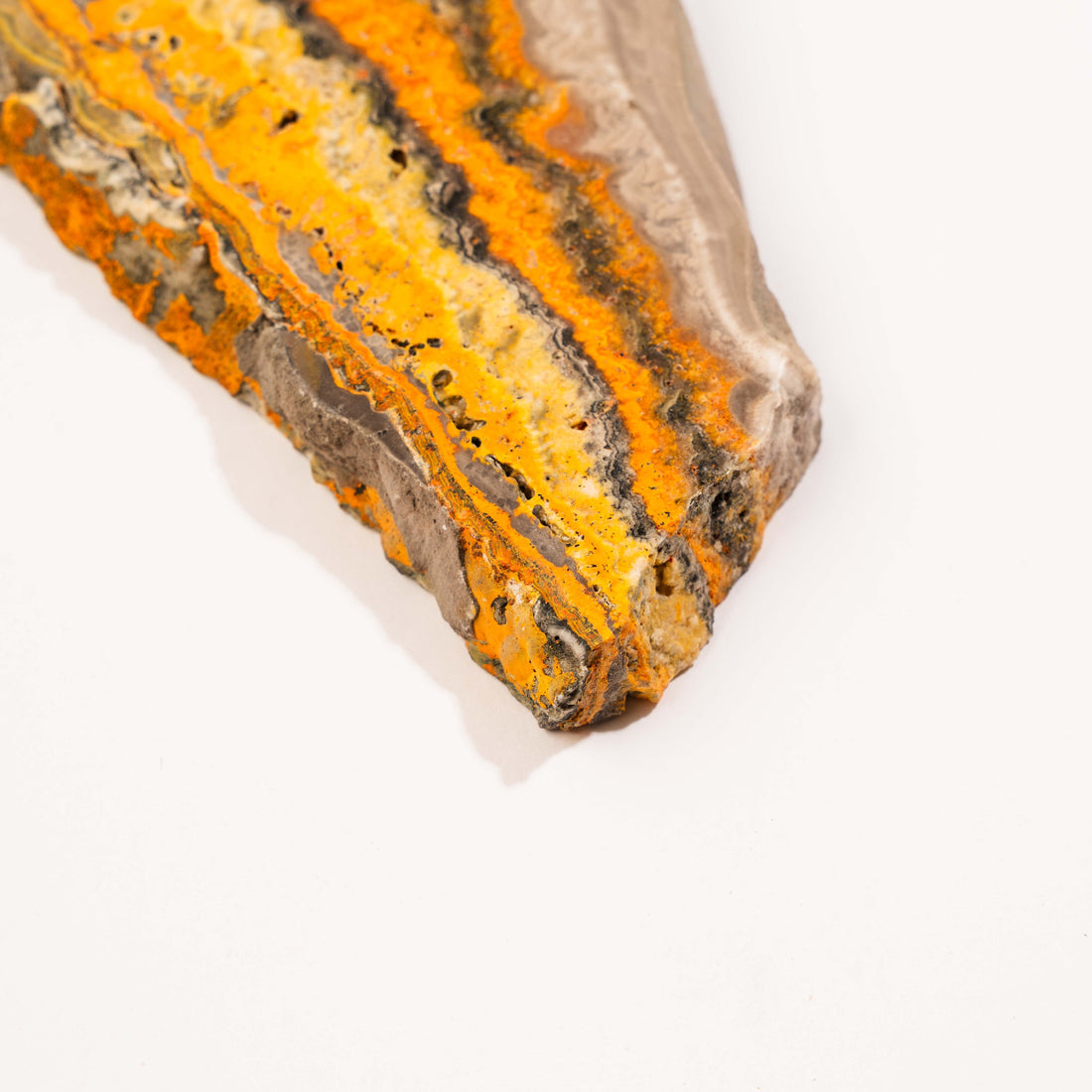 Bumble Bee Jasper - Slab, Large