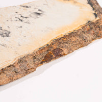 Slaty Shale Record - Earth Love Gallery Collection