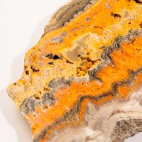 Jasper, Bumble Bee - Slab, Large