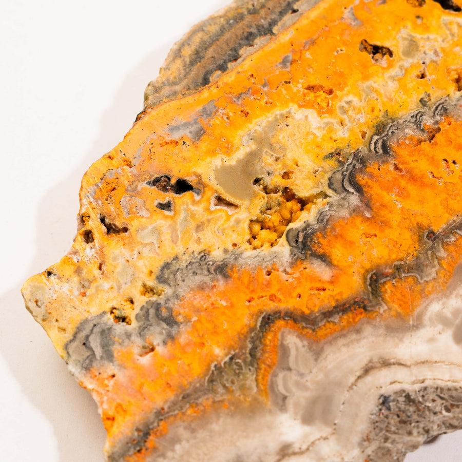 Jasper, Bumble Bee - Slab, Large