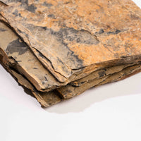 Slaty Shale Record - Earth Love Gallery Collection