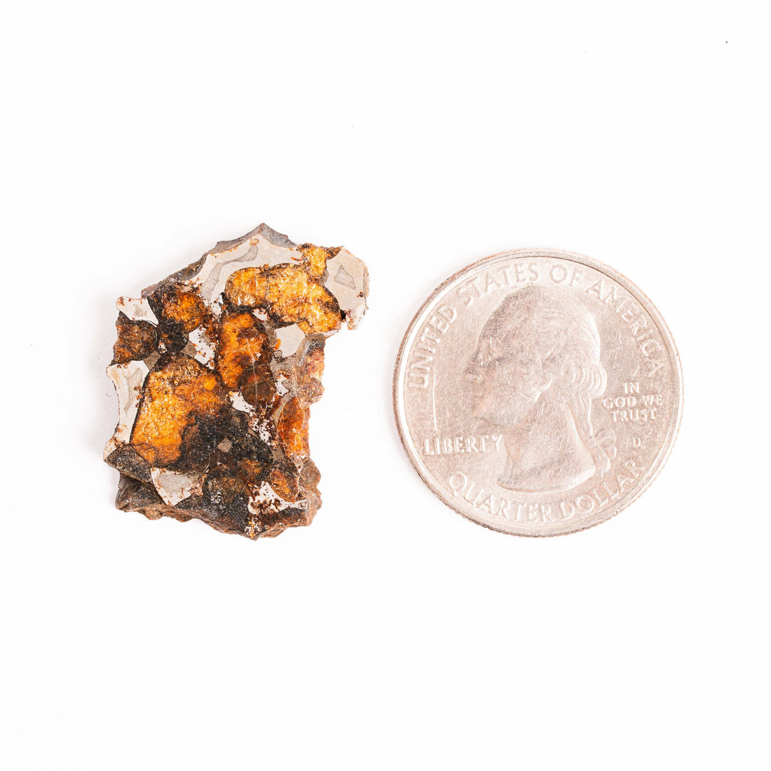 Sericho Pallasite Meteorite - Small