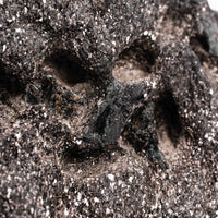 Alexandrite - Earth Love Gallery Collection