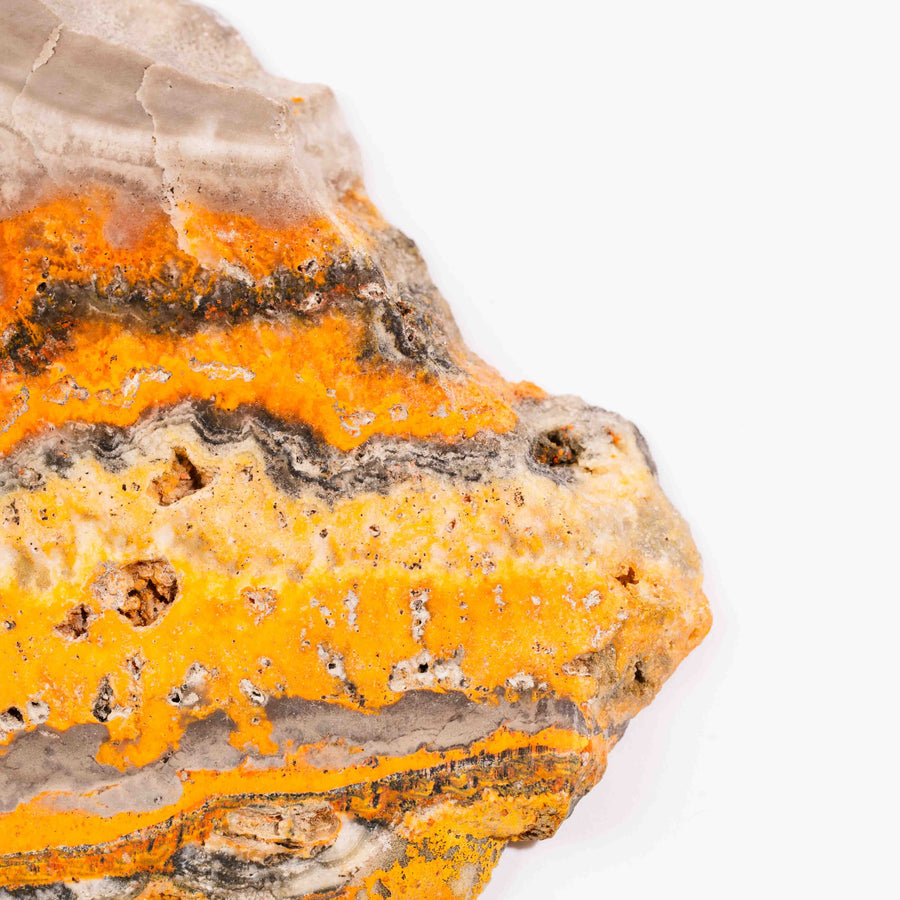 Bumble Bee Jasper - Slab, Large