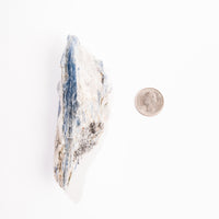 Kyanite, Blue- AA Grade Specimen