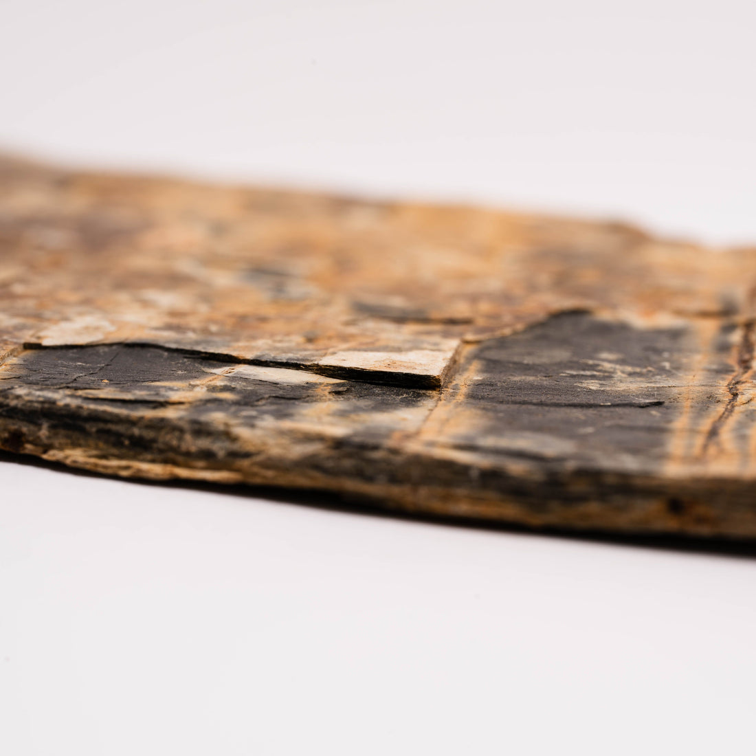 Slaty Shale Record - Earth Love Gallery Collection