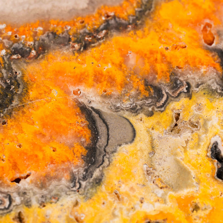 Jasper, Bumble Bee - Slab, Large