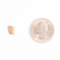 Lunar Meteorite - Bechar 007