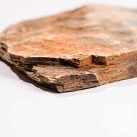 Slaty Shale Record - Earth Love Gallery Collection