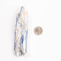 Kyanite, Blue- AA Grade Specimen