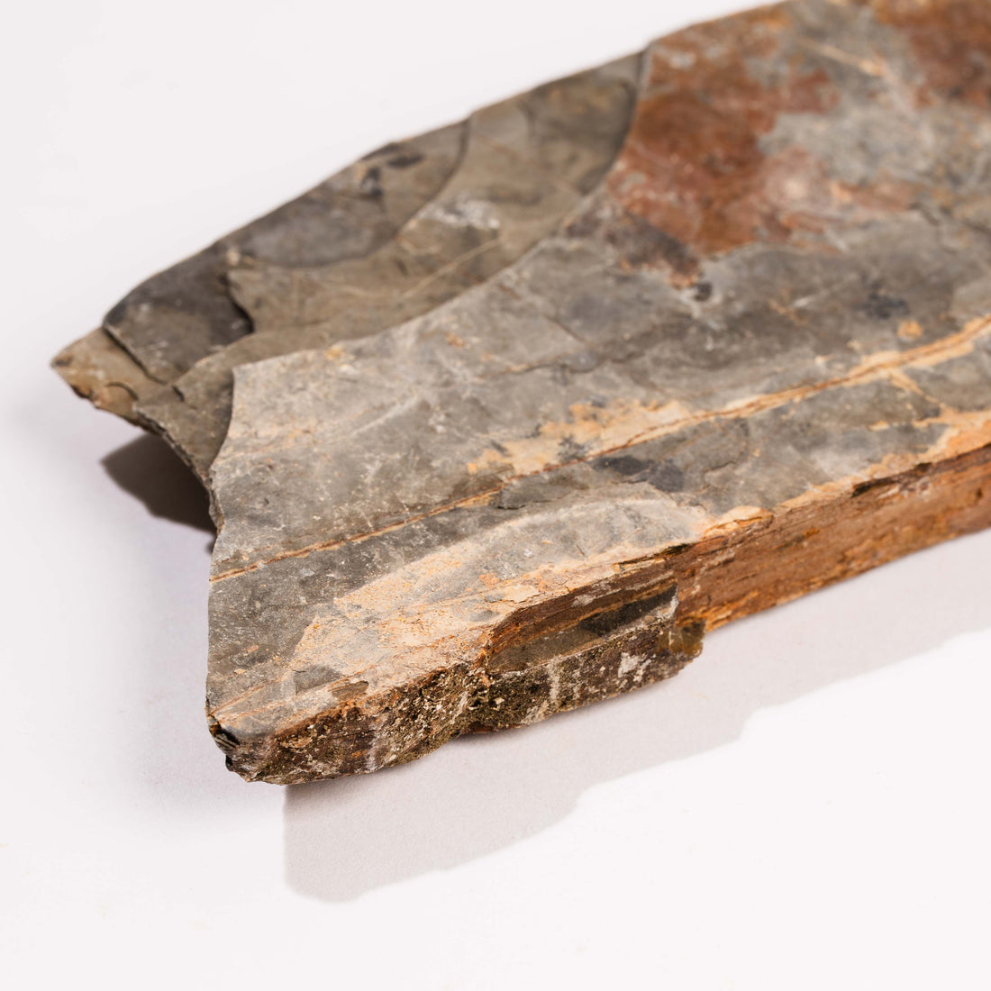 Slaty Shale Record - Earth Love Gallery Collection