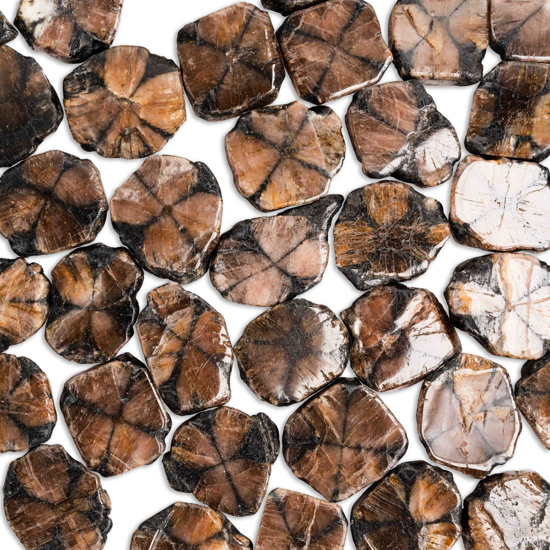 Chiastolite (Andalusite Cross)