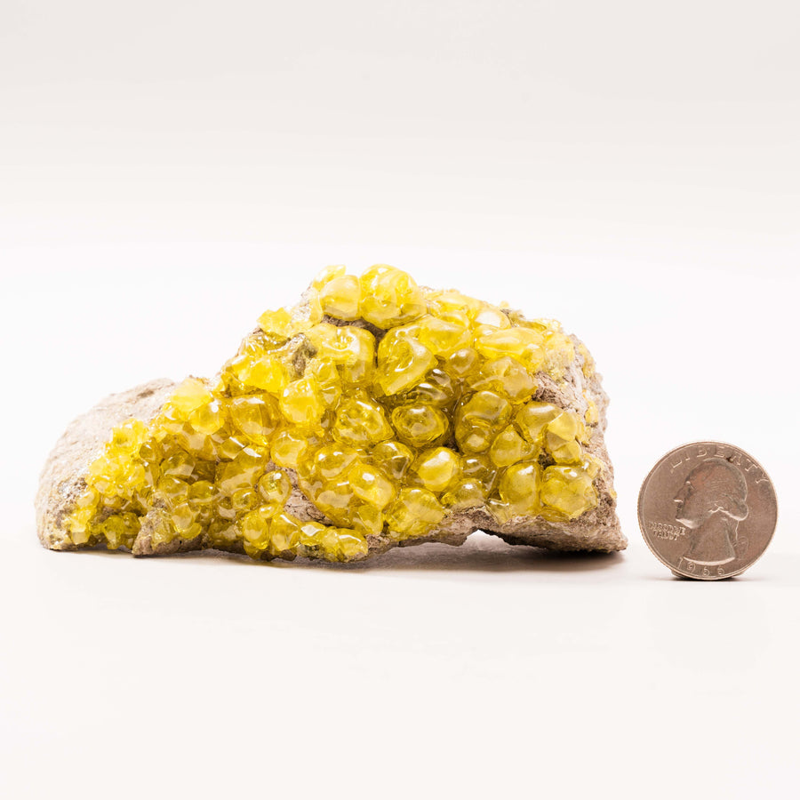 Sulphur Cluster on Matrix