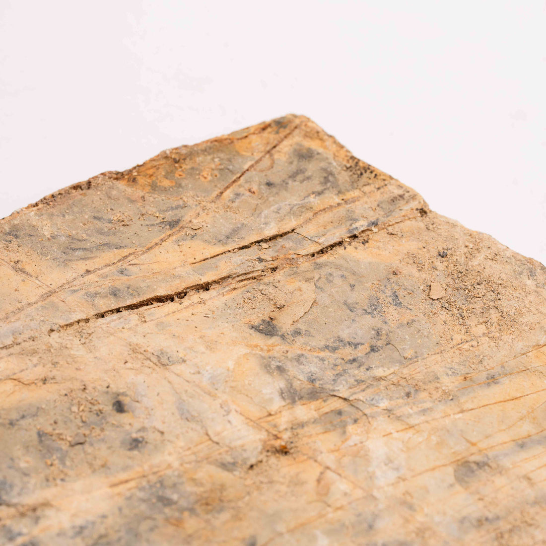 Slaty Shale Record - Earth Love Gallery Collection