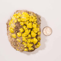 Sulphur Cluster on Matrix