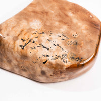 Biggs Jasper - Earth Love Gallery Collection