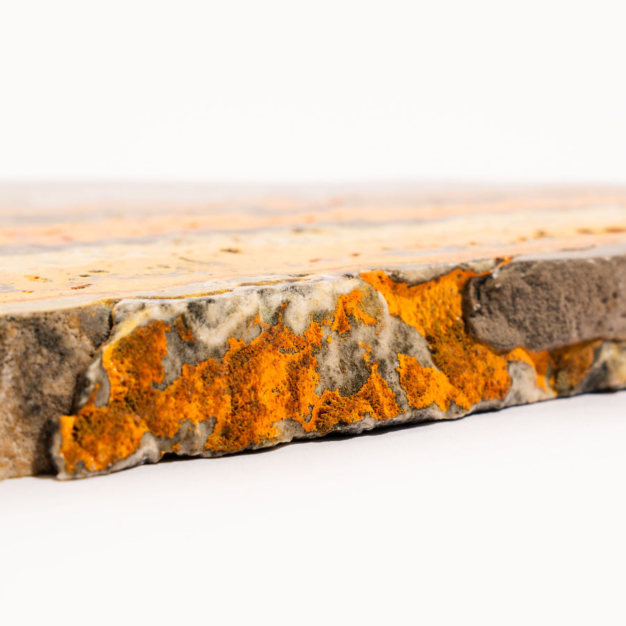 Jasper, Bumble Bee - Slab, Large