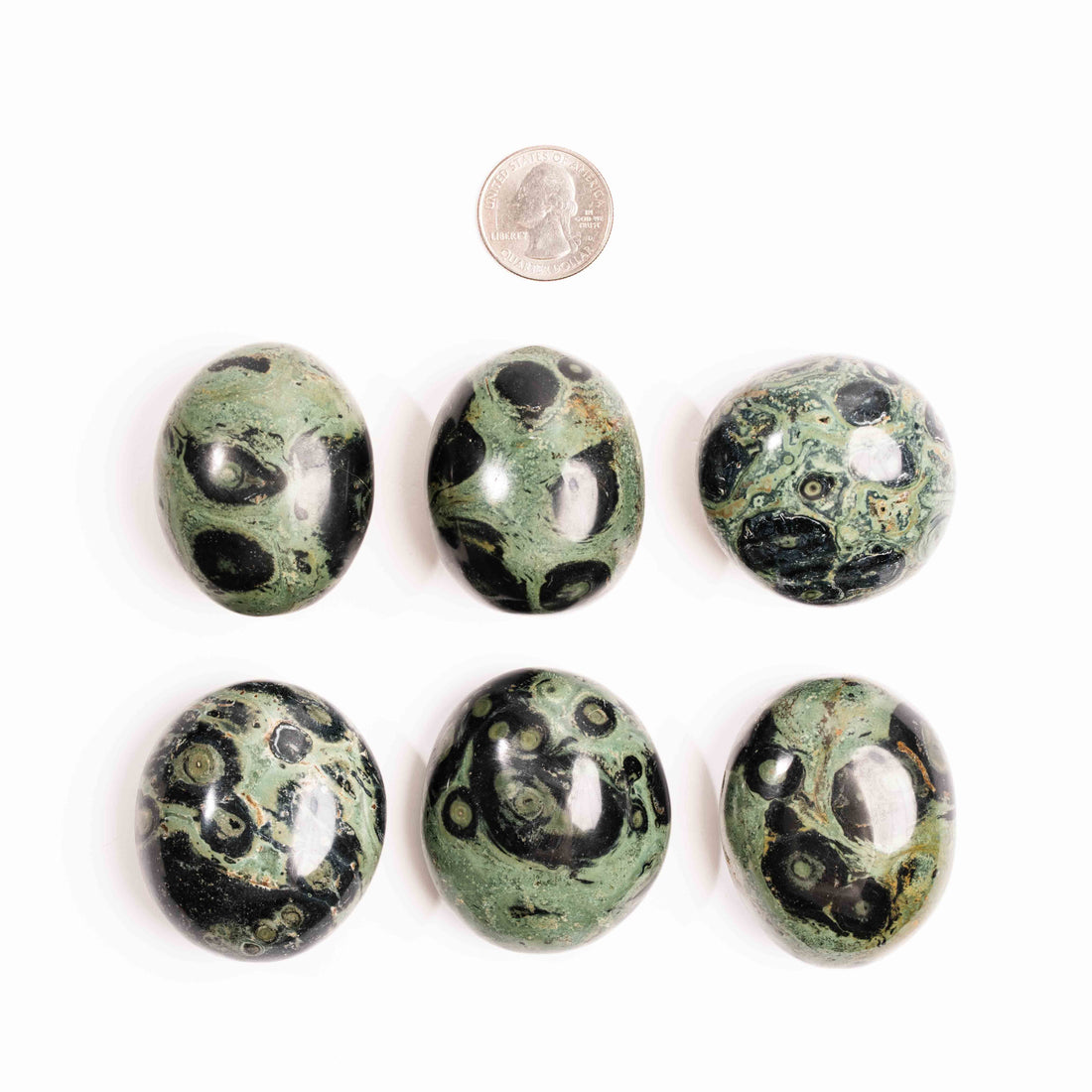Jasper, Kambaba - Palm Stone(s)