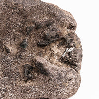 Alexandrite in Mica Schist - Earth Love Gallery Collection