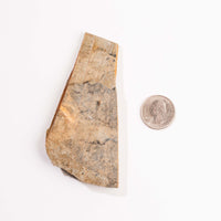 Slaty Shale Record - Earth Love Gallery Collection