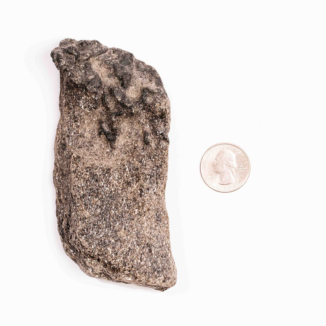 Alexandrite in Mica Schist - Earth Love Gallery Collection