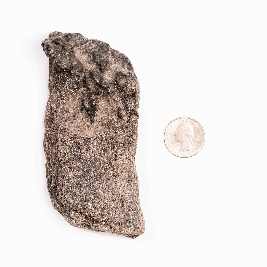 Alexandrite in Mica Schist - Earth Love Gallery Collection