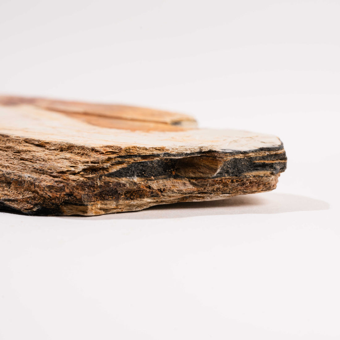 Slaty Shale Record - Earth Love Gallery Collection