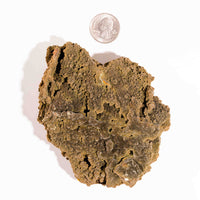 Mottramite Specimen