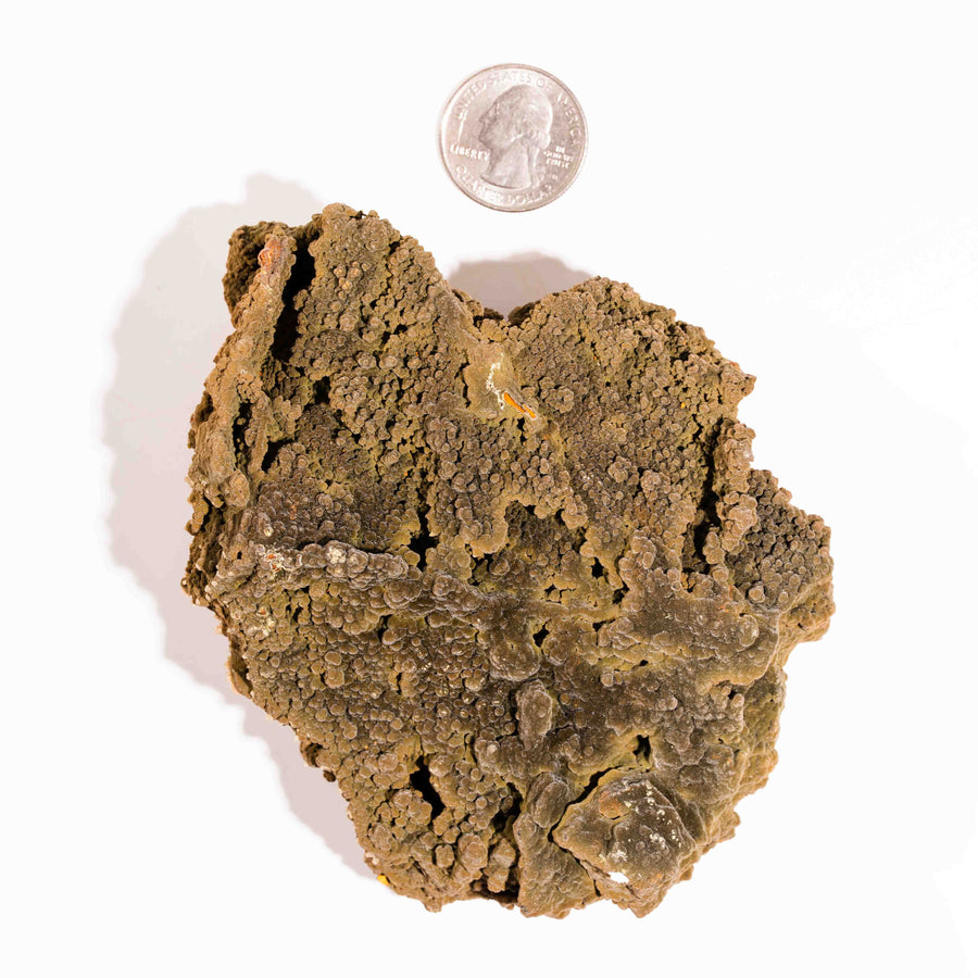 Mottramite Specimen