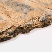 Slaty Shale Record - Earth Love Gallery Collection