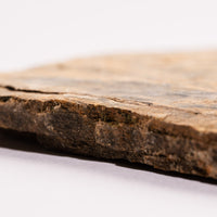 Slaty Shale Record - Earth Love Gallery Collection