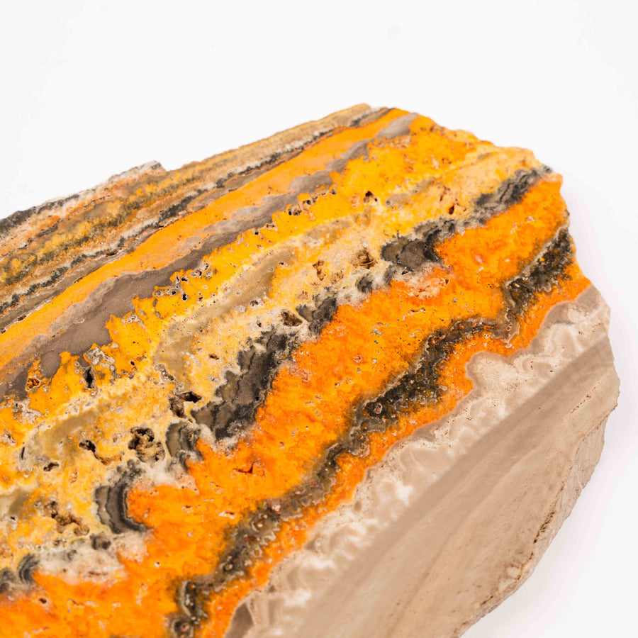 Jasper, Bumble Bee - Slab, Large