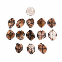 Chiastolite (Andalusite Cross)