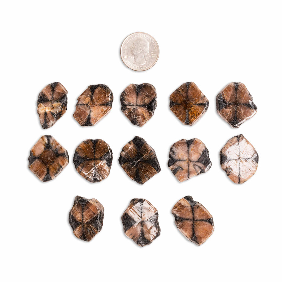 Chiastolite (Andalusite Cross)