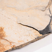 Slaty Shale Record - Earth Love Gallery Collection