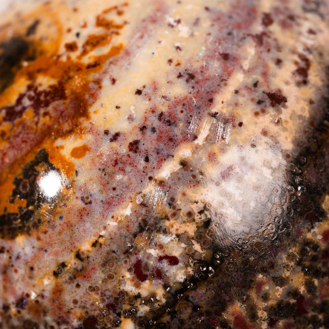 Jasper, Unicorn - Sphere, Polished