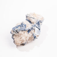 Kyanite, Blue- AA Grade Specimen