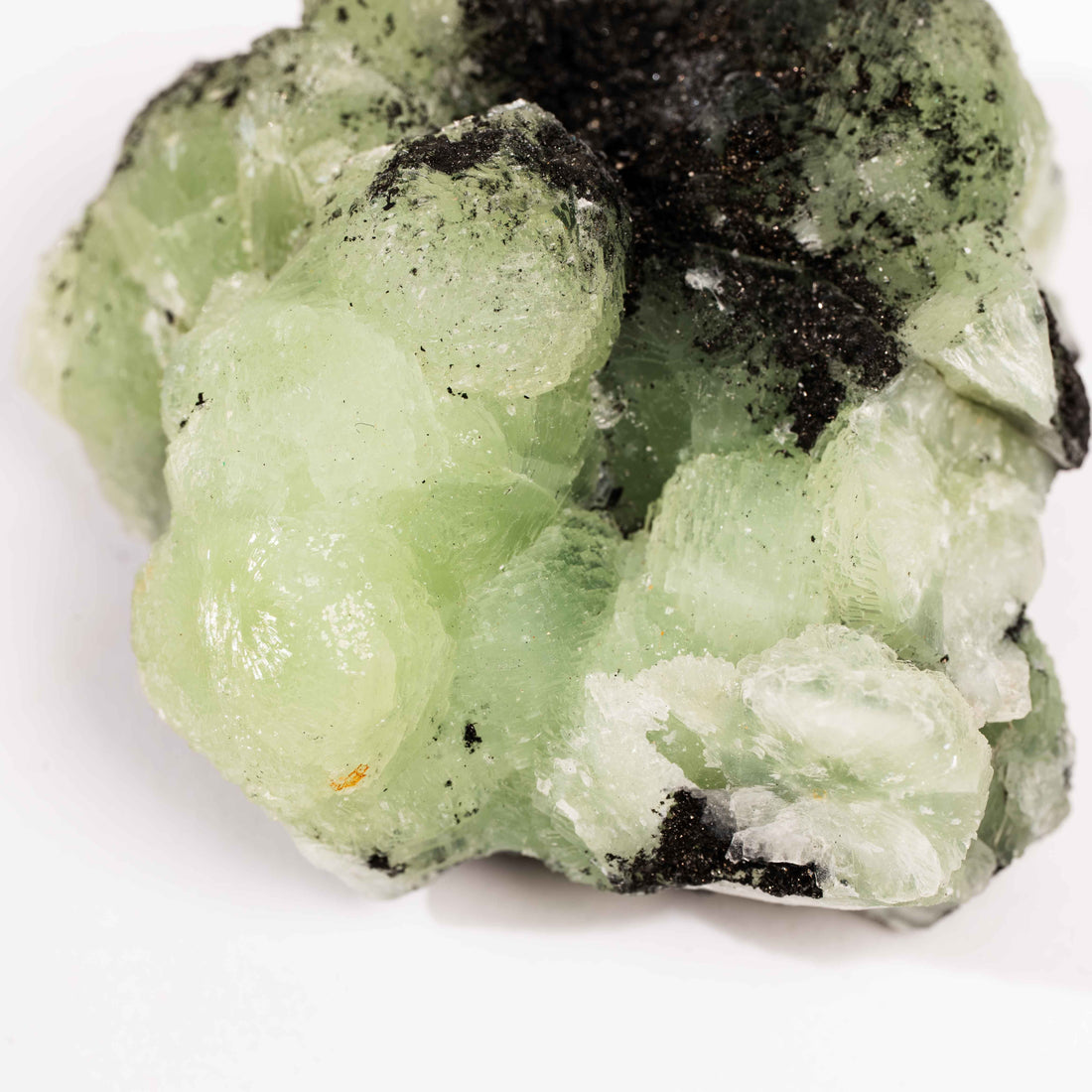 Prehnite w/ Black Quartz - Rough