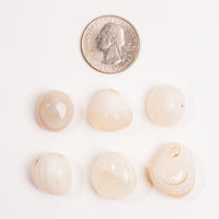 White Chalcedony - Tumbled Stone(s)