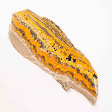 Bumble Bee Jasper - Slab, Large