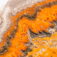 Bumble Bee Jasper - Slab, Large