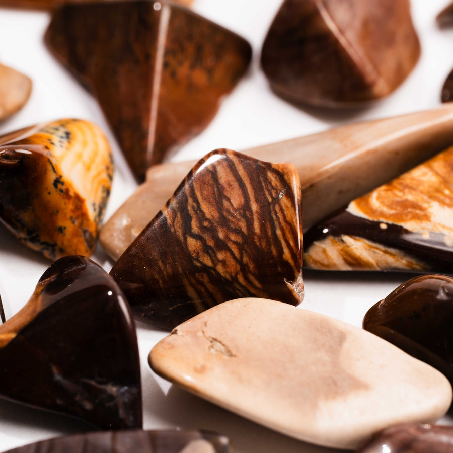 Biggs Jasper, Intuitive Picks - Earth Love Gallery Collection