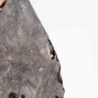 Obsidian, Rainbow - Earth Love Gallery