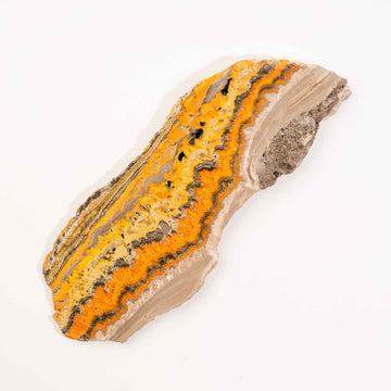 Bumble Bee Jasper - Slab, Large
