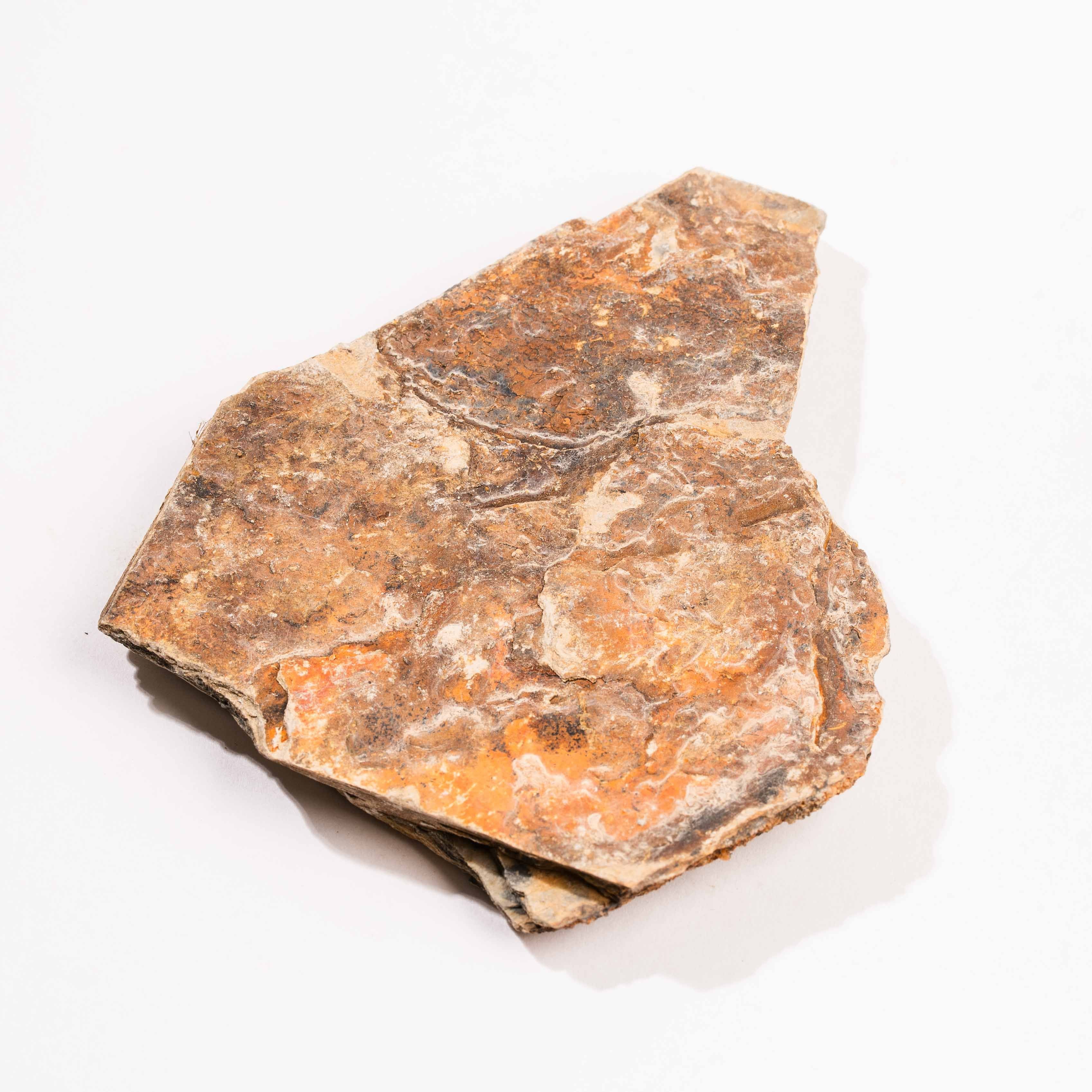 Slaty Shale Record - Earth Love Gallery Collection – Pink Heart Healing