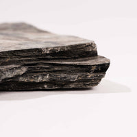 Slaty Shale Record - Earth Love Gallery Collection