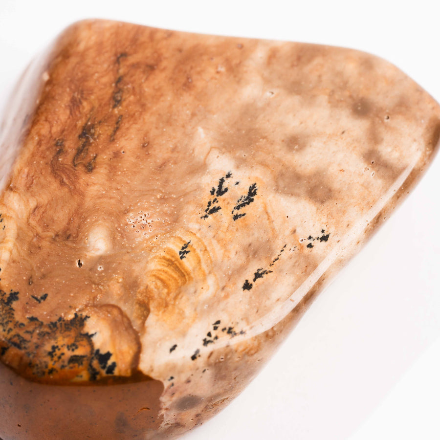 Biggs Jasper - Earth Love Gallery Collection